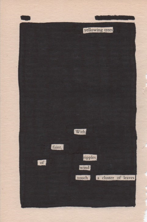 Blackout Poem - Cluster of Leaves - Blackout Poetry Notes