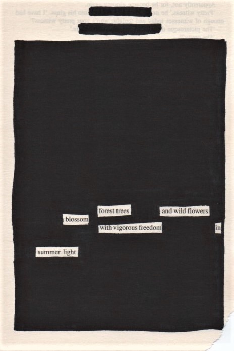 Blackout Poem - Summer Light