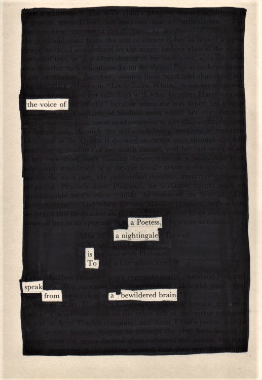 Bewildered Brain - Blackout Poetry Notes