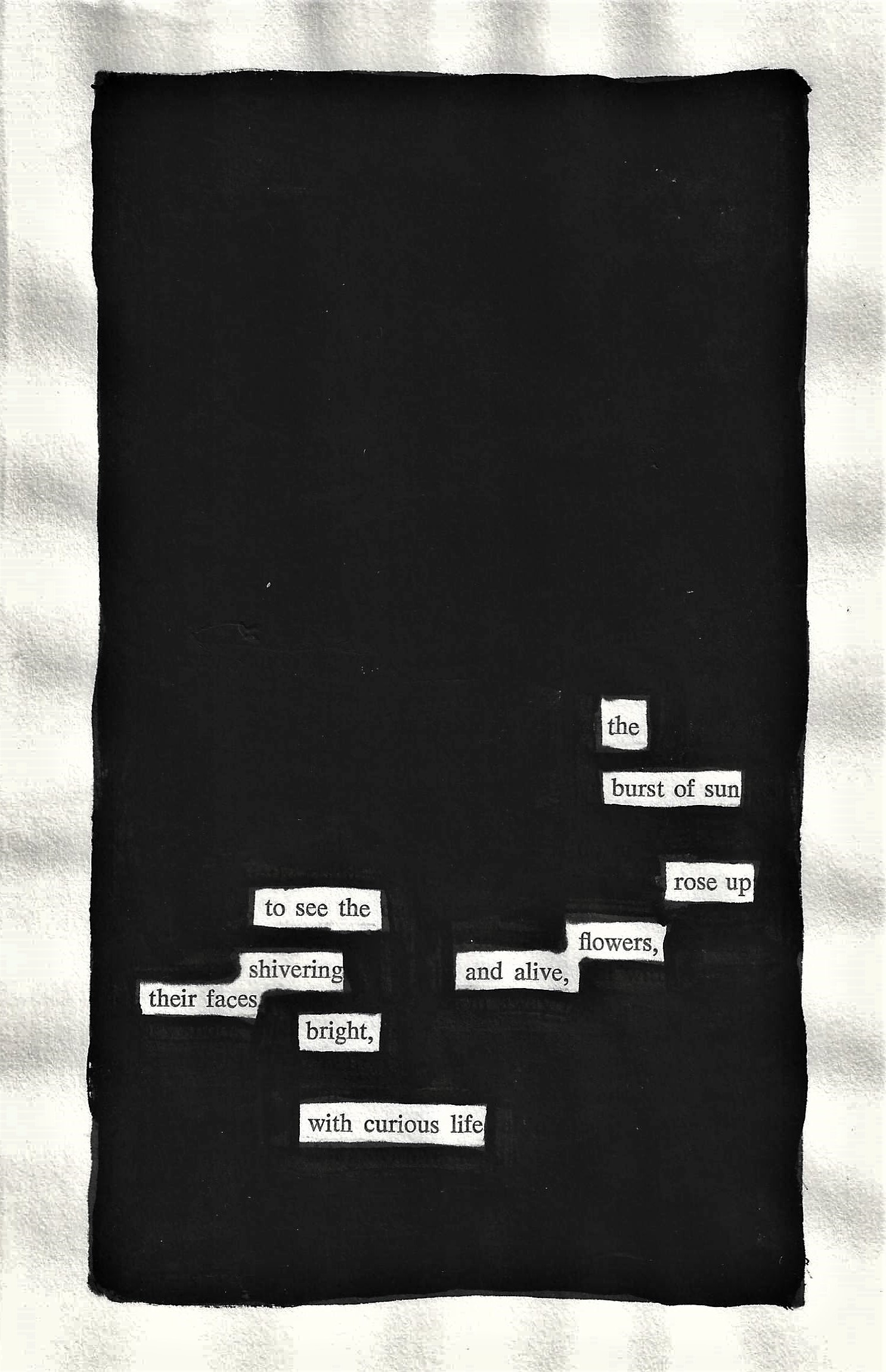 curious-life-blackout-poetry-notes