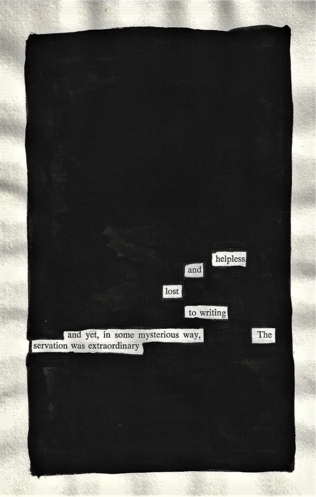 Servation - Blackout Poetry Notes